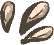 Seeds